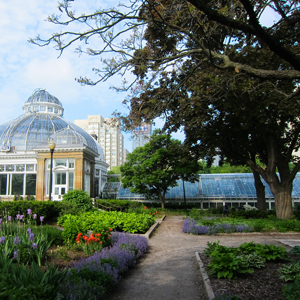 Allan Gardens